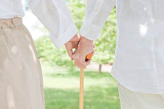 Cane