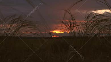 Beautiful timelapse of the setting sun over the field. far rain clouds and colorful sunset clouds in a blue sky over the