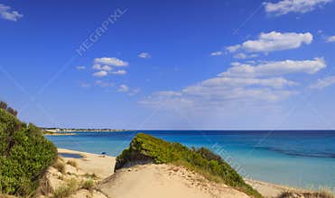 Summer seascape,Apulia coast: Marina di Lizzano beach Taranto. In the foreground dunes with lush mediterranean scrub.