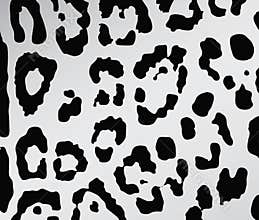 Leopard skin texture