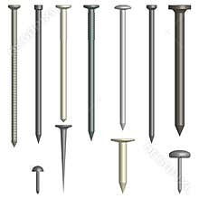 Set of various metal nails, vector illustration