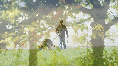 Woman walking with a guide dog