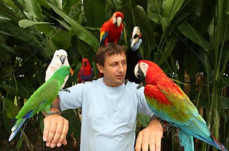 Man with parrots