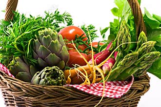 Vegetable Basket