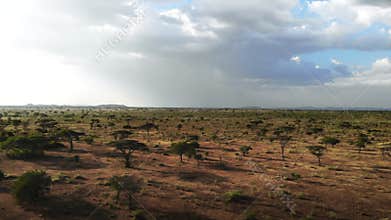 Safari travel African Savannah. Aerial footage wilderness savannah grassland landscape in Serengeti national park