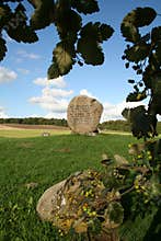 Hamlet's grave