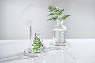 Cosmetic nature skincare and essential oil aromatherapy .organic natural science beauty product .herbal alternative medicine .