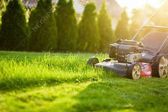 Lawn mower cutting green grass in sunlight