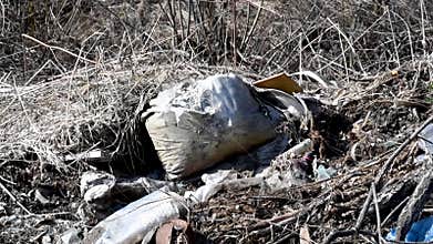 Landfill of construction waste and plastic in the forest in early spring