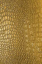 Snake skin