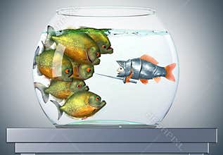 Goldfish knight and piranhas