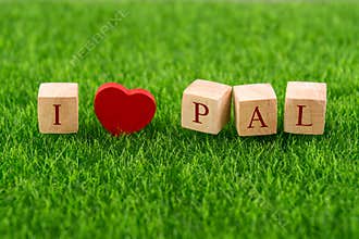 I love pal in wooden cube