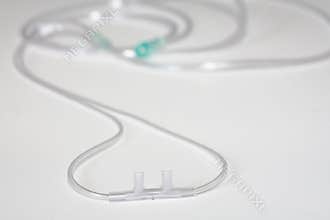 Nasal cannula for oxygen delivery
