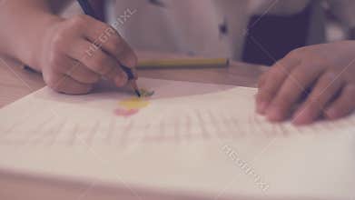 Hands Of An Unidentified Child Draw A Colored Drawing