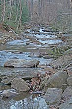 Babbling brook in Asheville North Carolina