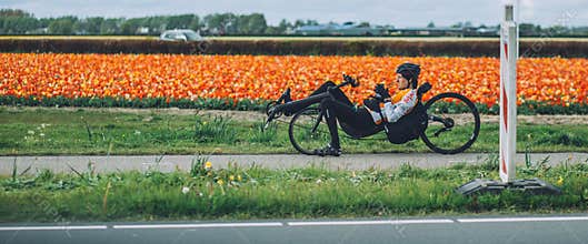 Man ridiing a recumbent bicycle, tulip background near Keukenhof