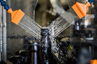 Beer bottles washing on factory
