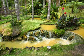 Terra Nostra Garden in Furnas town, Sao Miguel island, Azores, Portugal