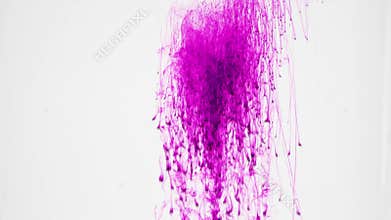 Abstract purple colours falling in glass of water.