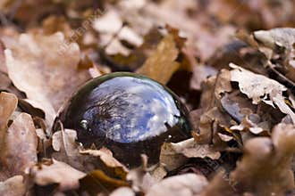 Crystal ball
