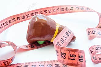 Concept photo enlarged liver or gallbladder. Anatomical liver figure next to measuring tape. Visualization enlarge organ and bile