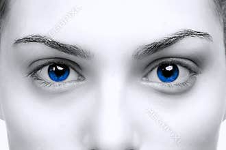 Female blue eyes