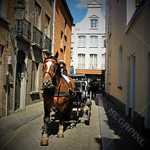 Carriage with a horse in Brugge