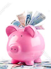 Piggy bank / money box