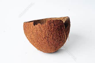 Coconut Shell