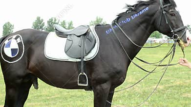 BMW stallion, one horse power vehicle with saddle