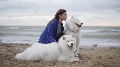 Side view of a young woman sitting on the sand and embracing her dogs of the Samoyed breed by the sea. White fluffy pets