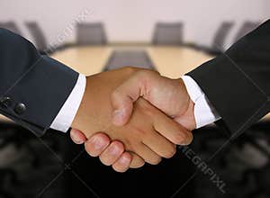 Business Handshake