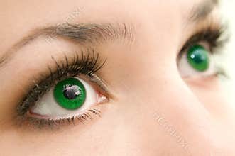 Eyes green