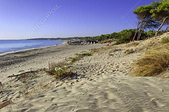 The most beautiful sandy beaches of Apulia.Salento coast: Alimini Beach,ITALY Lecce.