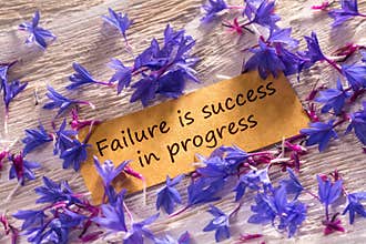 Failure is success in progress