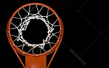 Basketball net