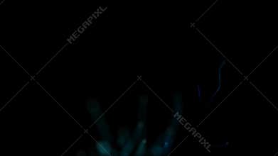 Neon Alien Floral Particles Growth