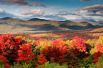 Autumn Colors