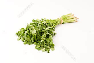 Caraway