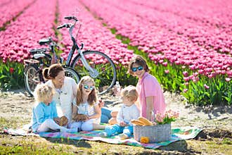 Family picnic at tulip flower field, Holland