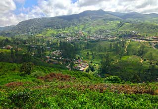 Tea plantation, mountains and village Nanuoya