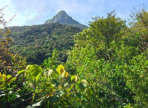 Way to Sri Pada Adam`s Peak