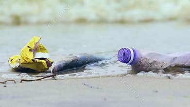 Dirty ocean shore with dead fish, waves picking up debris and litter, ecology