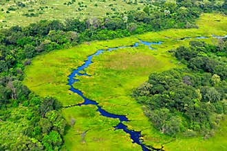 Aerial landscape in Okavango delta, Botswana. Lakes and rivers, view from airplane. Green vegetation in South Africa. Trees with w