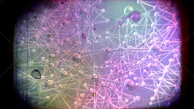 Molecules swimming in a chemical solution.