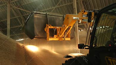 10 September, 2016, Mariupol, Ukraine, Ukrtransagro LLC. Agricultural crops storage facility. Telescopic handler with