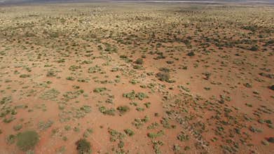 Aerial view of African savannah