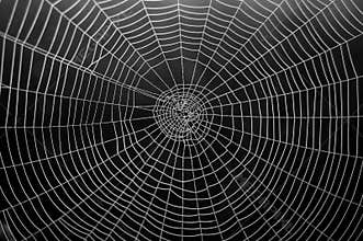 Web