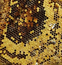 An old hive