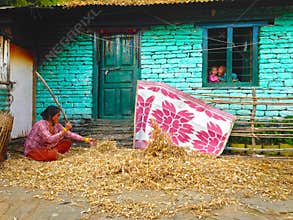 Woman is processing beans in Himalayas Mountains Annapurna trek